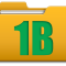 1B